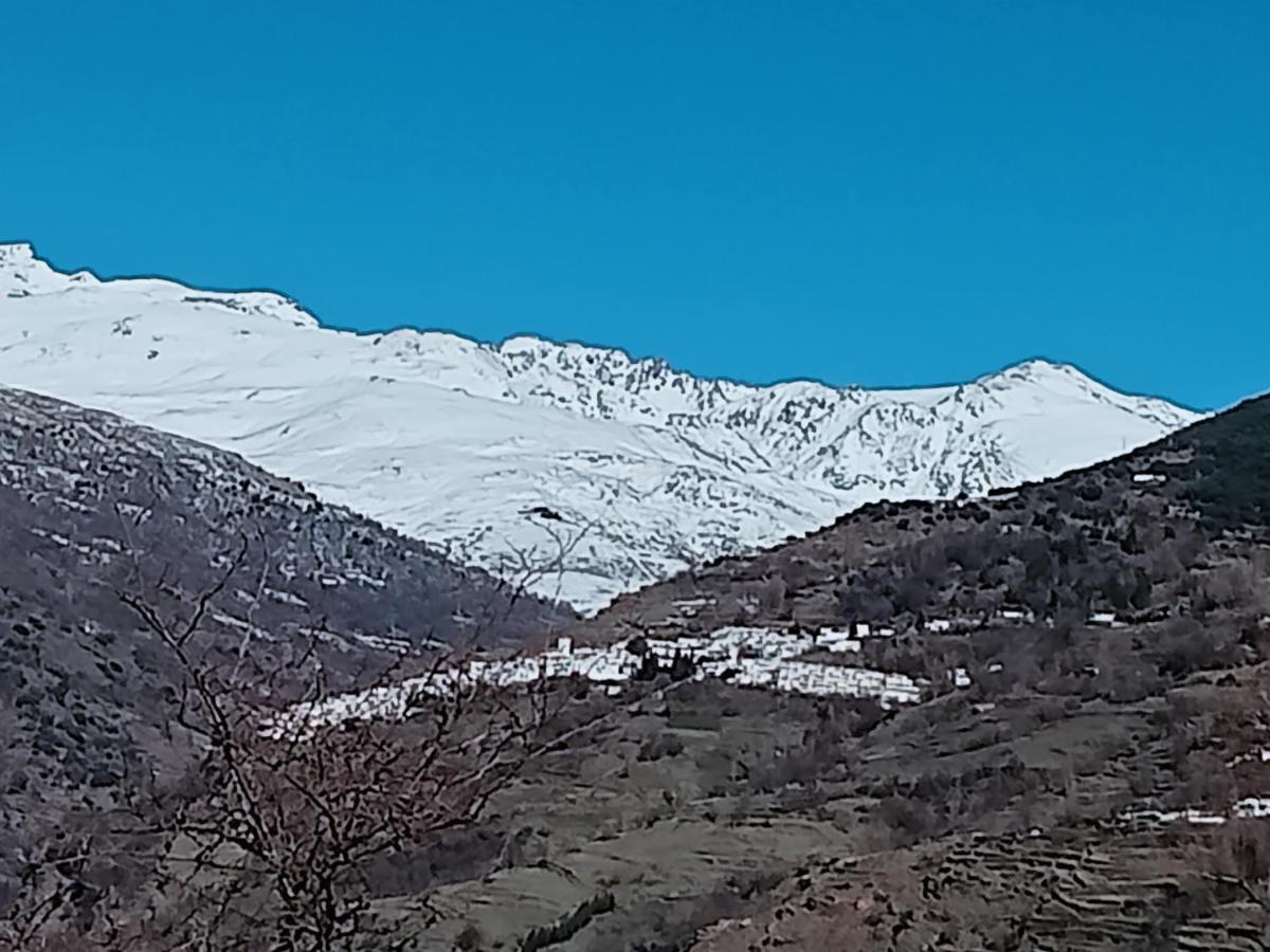 La Casita Villa Capileira Eksteriør bilde